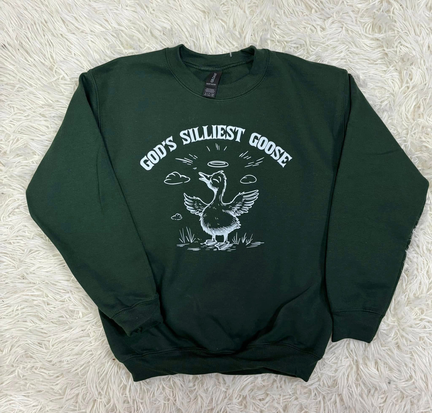 God's Silliest Goose