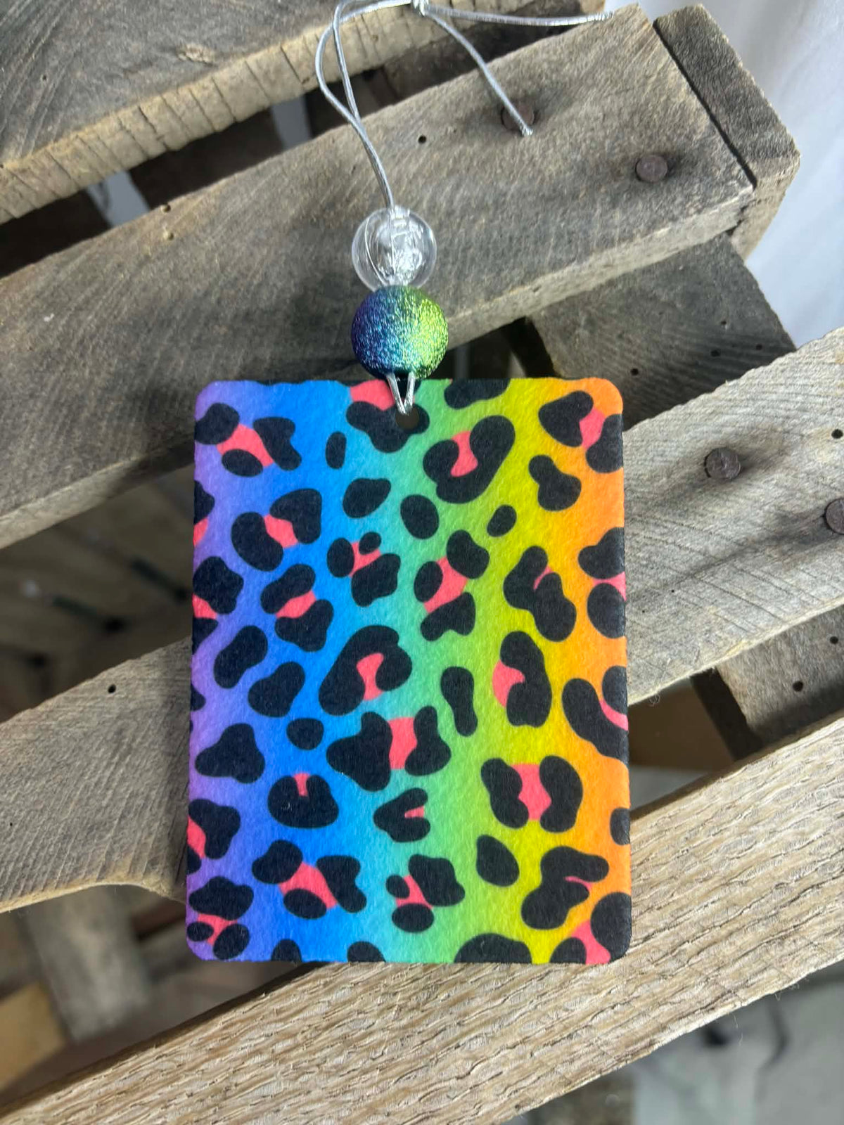 Rainbow Leopard