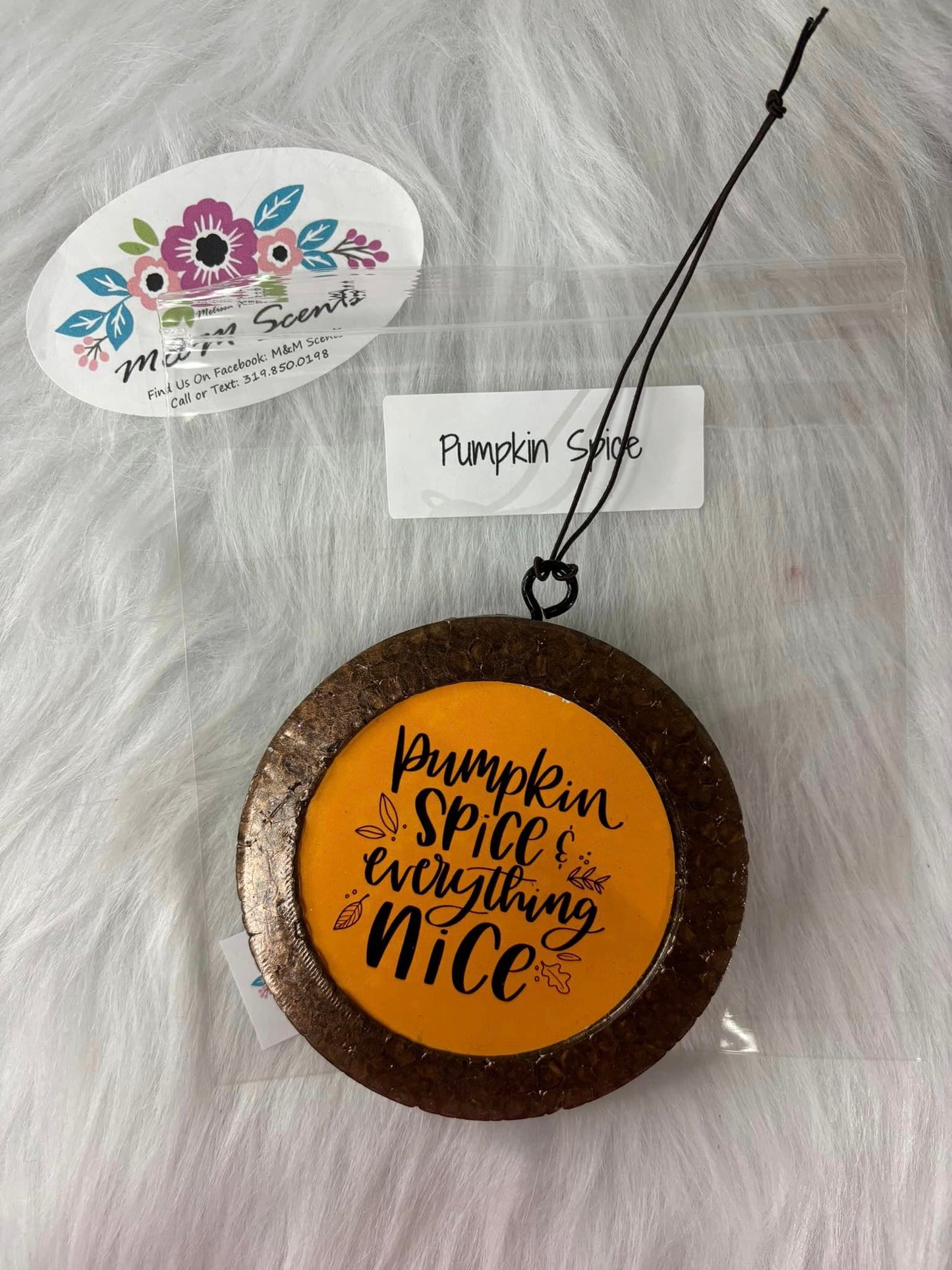 Pumpkin Spice Everything Nice Freshie