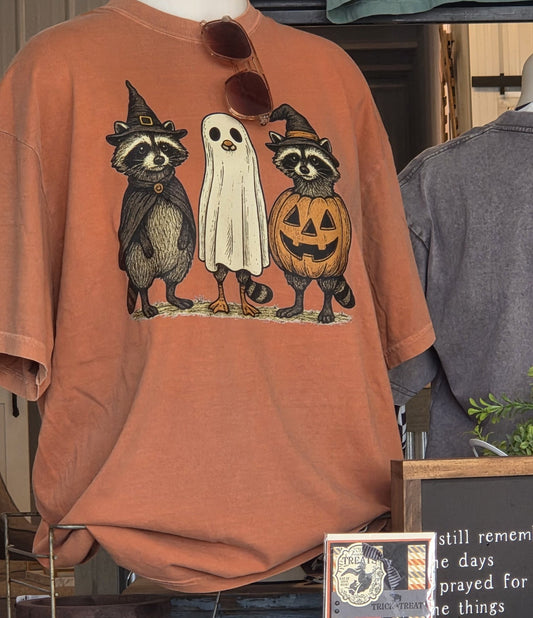 Racoon Halloween