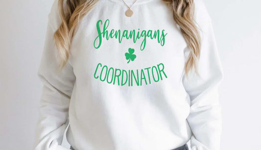 Shenanigans Coordinator