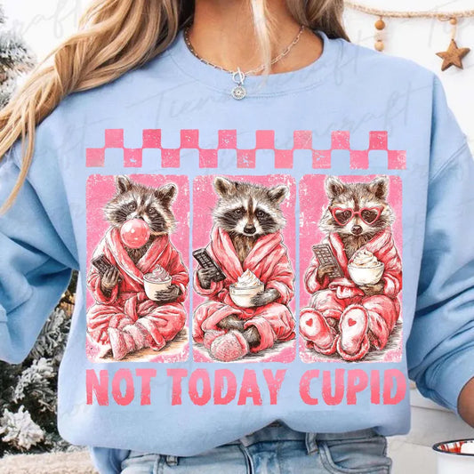 Not Today Cupid Raccoon Valentine